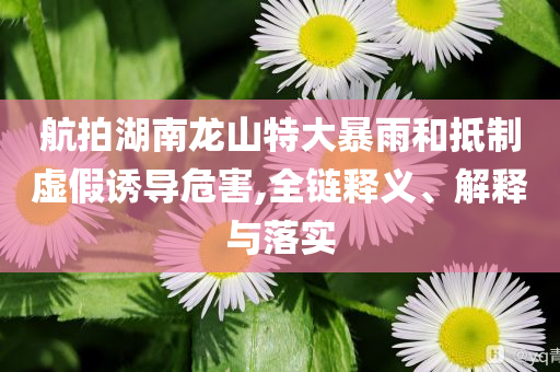 航拍湖南龍山特大暴雨和抵制虛假誘導(dǎo)危害,全鏈釋義、解釋與落實