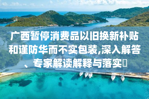 廣西暫停消費(fèi)品以舊換新補(bǔ)貼和謹(jǐn)防華而不實(shí)包裝,深入解答、專家解讀解釋與落實(shí)?