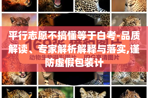 平行志愿不搞懂等于白考-品質(zhì)解讀、專家解析解釋與落實(shí),謹(jǐn)防虛假包裝計(jì)
