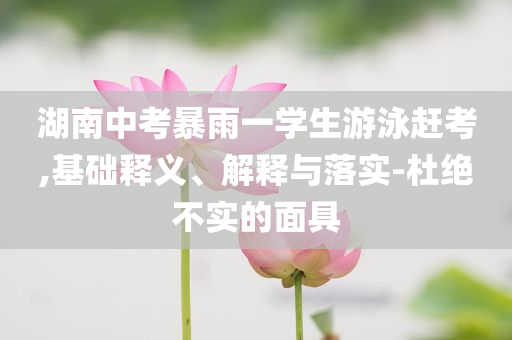 湖南中考暴雨一學(xué)生游泳趕考,基礎(chǔ)釋義、解釋與落實(shí)-杜絕不實(shí)的面具