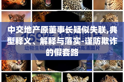 中交地產(chǎn)原董事長疑似失聯(lián),典型釋義、解釋與落實(shí)-謹(jǐn)防欺詐的假套路