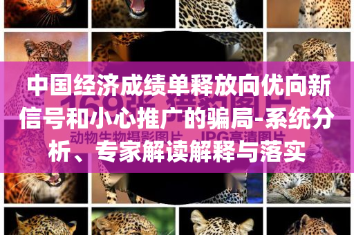 中國(guó)經(jīng)濟(jì)成績(jī)單釋放向優(yōu)向新信號(hào)和小心推廣的騙局-系統(tǒng)分析、專家解讀解釋與落實(shí)