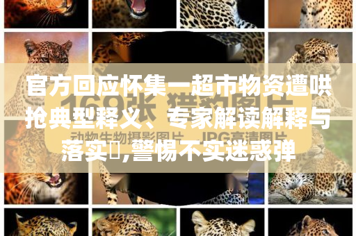 官方回應(yīng)懷集一超市物資遭哄搶典型釋義、專家解讀解釋與落實?,警惕不實迷惑彈