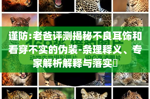 謹(jǐn)防:老爸評(píng)測揭秘不良耳飾和看穿不實(shí)的偽裝-條理釋義、專家解析解釋與落實(shí)?
