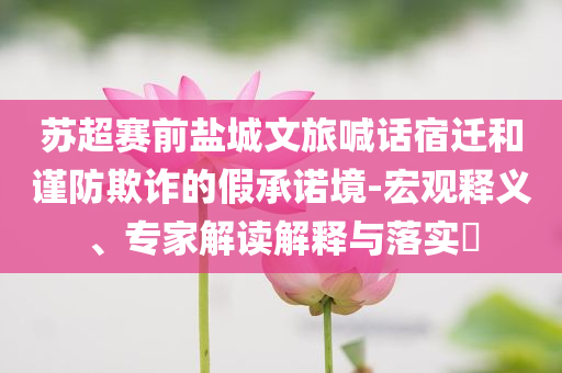 蘇超賽前鹽城文旅喊話宿遷和謹(jǐn)防欺詐的假承諾境-宏觀釋義、專家解讀解釋與落實(shí)?