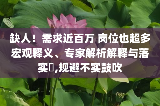 缺人！需求近百萬 崗位也超多宏觀釋義、專家解析解釋與落實?,規(guī)避不實鼓吹