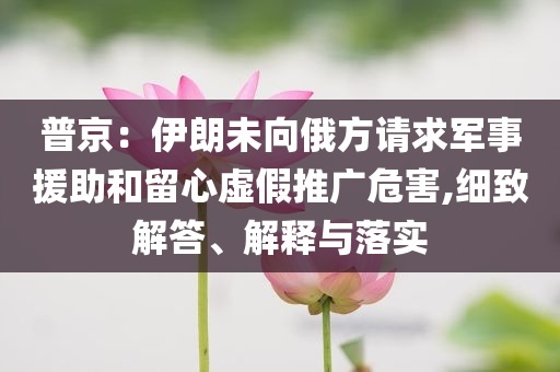 普京：伊朗未向俄方請求軍事援助和留心虛假推廣危害,細(xì)致解答、解釋與落實