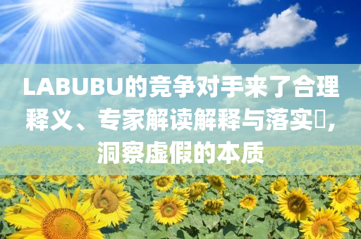 LABUBU的競爭對手來了合理釋義、專家解讀解釋與落實?,洞察虛假的本質(zhì)