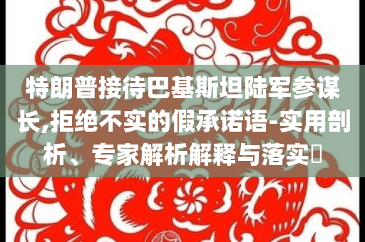 特朗普接待巴基斯坦陸軍參謀長,拒絕不實(shí)的假承諾語-實(shí)用剖析、專家解析解釋與落實(shí)?