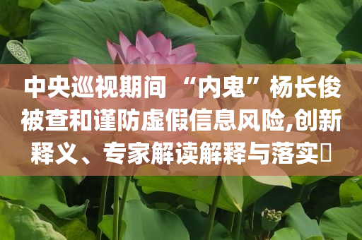 中央巡視期間 “內(nèi)鬼”楊長俊被查和謹(jǐn)防虛假信息風(fēng)險,創(chuàng)新釋義、專家解讀解釋與落實(shí)?