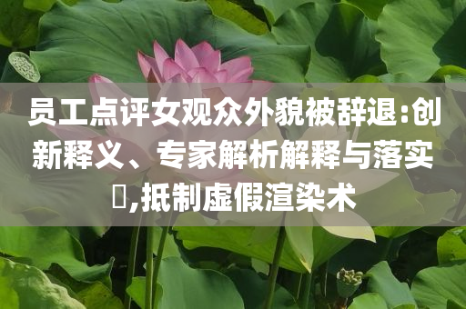 員工點評女觀眾外貌被辭退:創(chuàng)新釋義、專家解析解釋與落實?,抵制虛假渲染術