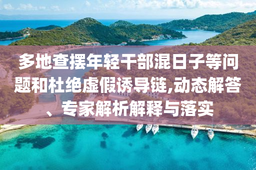 多地查擺年輕干部混日子等問題和杜絕虛假誘導鏈,動態(tài)解答、專家解析解釋與落實