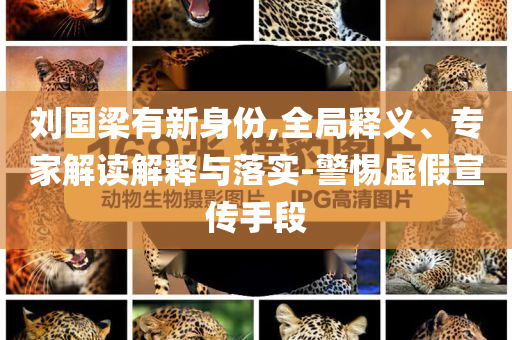 劉國梁有新身份,全局釋義、專家解讀解釋與落實-警惕虛假宣傳手段