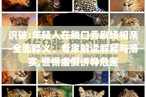 識破:年輕人在脫口秀劇場相親-全面釋義、專家解讀解釋與落實,警惕虛假誘導危害