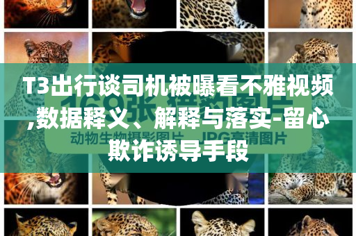 T3出行談司機(jī)被曝看不雅視頻,數(shù)據(jù)釋義、解釋與落實(shí)-留心欺詐誘導(dǎo)手段