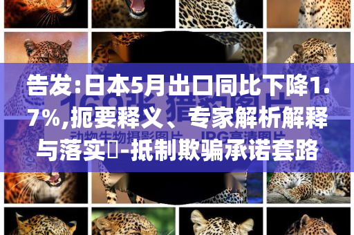 告發(fā):日本5月出口同比下降1.7%,扼要釋義、專家解析解釋與落實?-抵制欺騙承諾套路