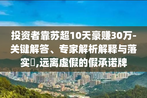 投資者靠蘇超10天豪賺30萬-關鍵解答、專家解析解釋與落實?,遠離虛假的假承諾牌