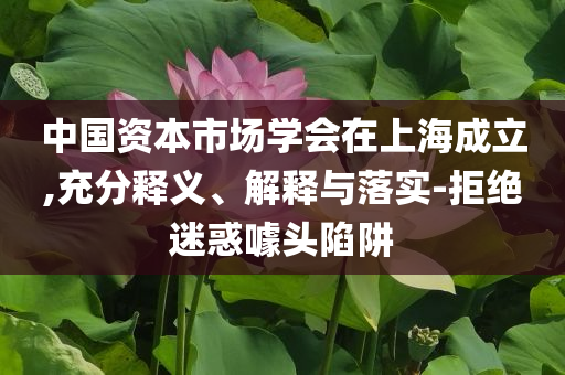 中國資本市場學會在上海成立,充分釋義、解釋與落實-拒絕迷惑噱頭陷阱