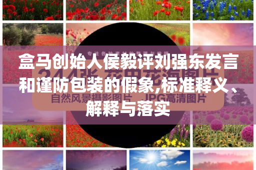 盒馬創(chuàng)始人侯毅評(píng)劉強(qiáng)東發(fā)言和謹(jǐn)防包裝的假象,標(biāo)準(zhǔn)釋義、解釋與落實(shí)
