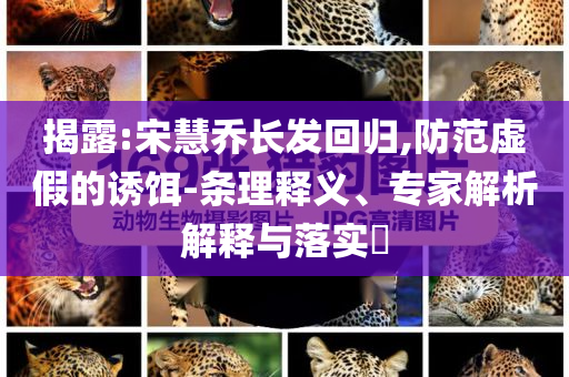 揭露:宋慧喬長(zhǎng)發(fā)回歸,防范虛假的誘餌-條理釋義、專(zhuān)家解析解釋與落實(shí)?