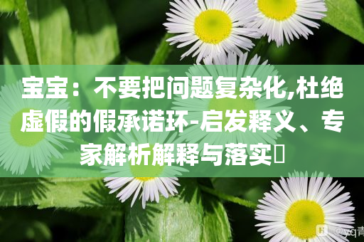 寶寶：不要把問(wèn)題復(fù)雜化,杜絕虛假的假承諾環(huán)-啟發(fā)釋義、專家解析解釋與落實(shí)?