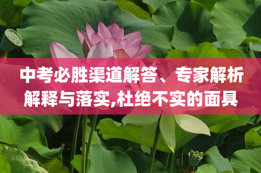 中考必勝渠道解答、專家解析解釋與落實(shí),杜絕不實(shí)的面具