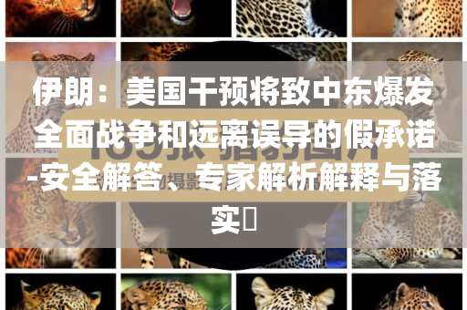 伊朗：美國干預(yù)將致中東爆發(fā)全面戰(zhàn)爭和遠(yuǎn)離誤導(dǎo)的假承諾-安全解答、專家解析解釋與落實(shí)?