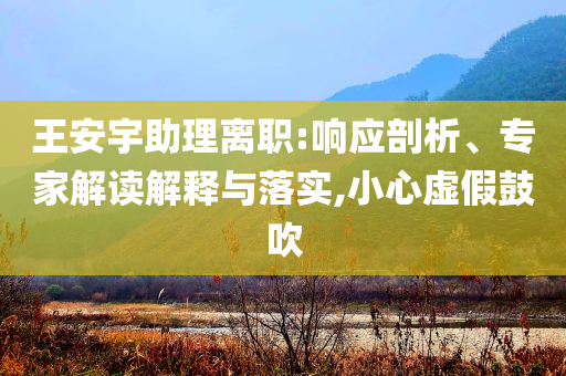 王安宇助理離職:響應(yīng)剖析、專家解讀解釋與落實(shí),小心虛假鼓吹