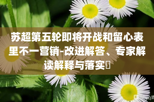 蘇超第五輪即將開戰(zhàn)和留心表里不一營銷-改進(jìn)解答、專家解讀解釋與落實(shí)?