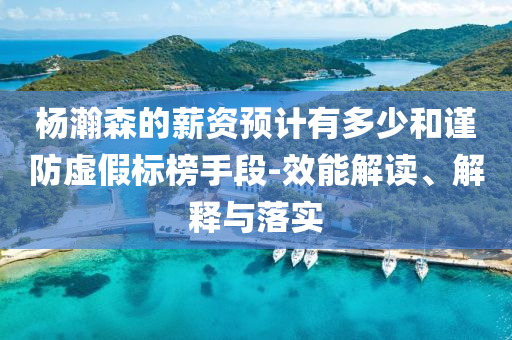 楊瀚森的薪資預計有多少和謹防虛假標榜手段-效能解讀、解釋與落實