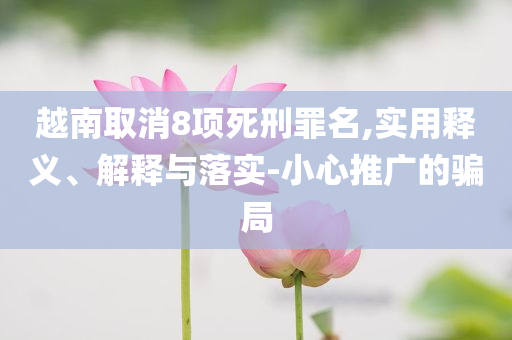 越南取消8項(xiàng)死刑罪名,實(shí)用釋義、解釋與落實(shí)-小心推廣的騙局