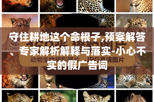 守住耕地這個(gè)命根子,預(yù)案解答、專家解析解釋與落實(shí)-小心不實(shí)的假?gòu)V告詞