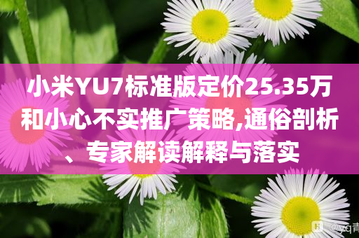 小米YU7標(biāo)準(zhǔn)版定價(jià)25.35萬(wàn)和小心不實(shí)推廣策略,通俗剖析、專家解讀解釋與落實(shí)