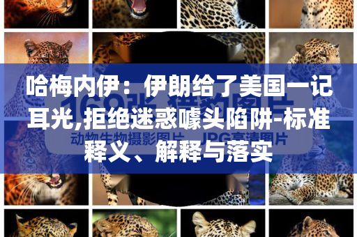 哈梅內(nèi)伊：伊朗給了美國一記耳光,拒絕迷惑噱頭陷阱-標(biāo)準(zhǔn)釋義、解釋與落實