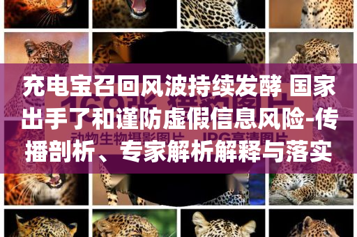 充電寶召回風波持續(xù)發(fā)酵 國家出手了和謹防虛假信息風險-傳播剖析、專家解析解釋與落實