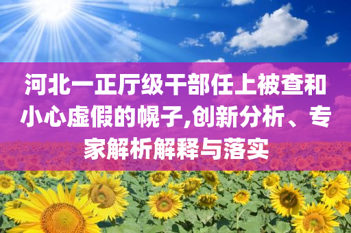 河北一正廳級干部任上被查和小心虛假的幌子,創(chuàng)新分析、專家解析解釋與落實