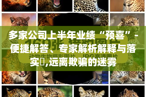多家公司上半年業(yè)績(jī)“預(yù)喜”-便捷解答、專家解析解釋與落實(shí)?,遠(yuǎn)離欺騙的迷霧