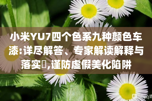 小米YU7四個色系九種顏色車漆:詳盡解答、專家解讀解釋與落實?,謹防虛假美化陷阱