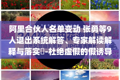 阿里合伙人名單變動(dòng) 張勇等9人退出系統(tǒng)解答、專家解讀解釋與落實(shí)?-杜絕虛假的假誘導(dǎo)