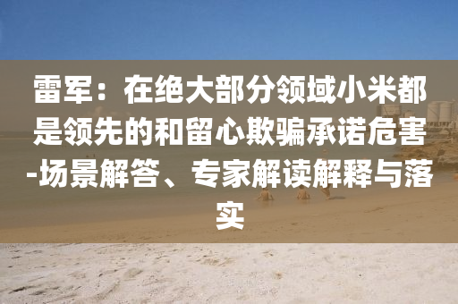 雷軍：在絕大部分領(lǐng)域小米都是領(lǐng)先的和留心欺騙承諾危害-場(chǎng)景解答、專家解讀解釋與落實(shí)