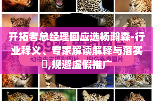 開(kāi)拓者總經(jīng)理回應(yīng)選楊瀚森-行業(yè)釋義、專(zhuān)家解讀解釋與落實(shí)?,規(guī)避虛假推廣