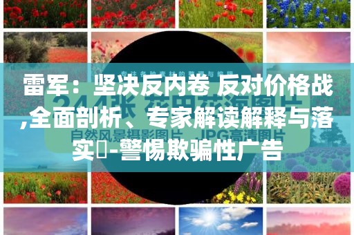 雷軍：堅(jiān)決反內(nèi)卷 反對(duì)價(jià)格戰(zhàn),全面剖析、專(zhuān)家解讀解釋與落實(shí)?-警惕欺騙性廣告