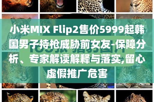 小米MIX Flip2售價(jià)5999起韓國(guó)男子持槍威脅前女友-保障分析、專(zhuān)家解讀解釋與落實(shí),留心虛假推廣危害