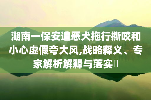 湖南一保安遭惡犬拖行撕咬和小心虛假夸大風(fēng),戰(zhàn)略釋義、專家解析解釋與落實(shí)?