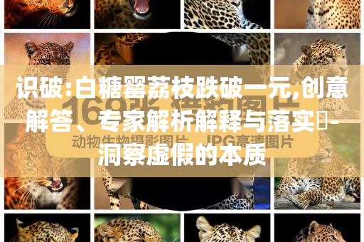識(shí)破:白糖罌荔枝跌破一元,創(chuàng)意解答、專家解析解釋與落實(shí)?-洞察虛假的本質(zhì)