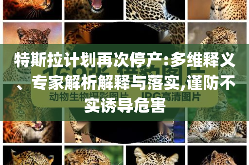 特斯拉計(jì)劃再次停產(chǎn):多維釋義、專家解析解釋與落實(shí),謹(jǐn)防不實(shí)誘導(dǎo)危害