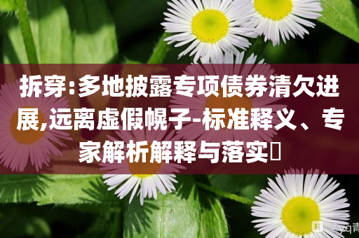 拆穿:多地披露專項債券清欠進(jìn)展,遠(yuǎn)離虛假幌子-標(biāo)準(zhǔn)釋義、專家解析解釋與落實?