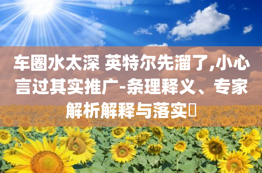 車圈水太深 英特爾先溜了,小心言過(guò)其實(shí)推廣-條理釋義、專家解析解釋與落實(shí)?