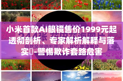 小米首款A(yù)I眼鏡售價(jià)1999元起透徹剖析、專家解析解釋與落實(shí)?-警惕欺詐套路危害