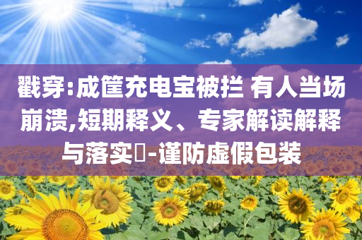 戳穿:成筐充電寶被攔 有人當(dāng)場(chǎng)崩潰,短期釋義、專家解讀解釋與落實(shí)?-謹(jǐn)防虛假包裝